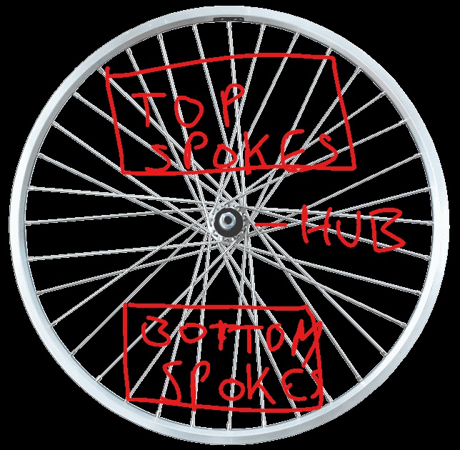 To hang or not to hang: the science of bicycle spokes – Sapience